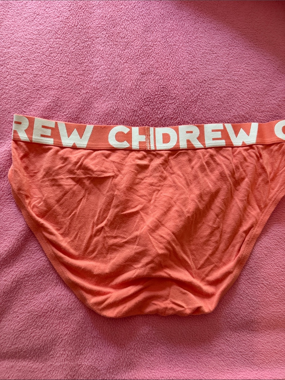 Andrew Christian Coral Briefs with White Logo Waistband - Picture 3 of 3